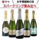 送料無料 厳選 スパークリング ワイン セット 5 本 辛口 飲み比べ スペイン カヴァ ブリュット ナチュレ お中元
