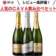 スパークリングワイン セット 辛口 CAVA スペイン カヴァ カバ 3本 シャンパーニュ製法 家飲み 飲み比べ …
