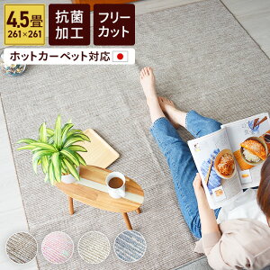 J[ybg DJ[ybg 4.5 4.5 ]ˊ 261×261 { R O O}bg RpNg I[V[Y  킢 ybg  q Ԃ q t[Jbg ؂ 