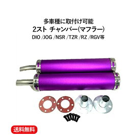 【送料無料】2 ストローク 2st チャンバー マフラー サイレンサー DIO JOG NSR TZR RZ RGV 等 汎用　多種適合 紫 パープル 2本 ネジ ガスケット キット セット 整備 カスタム メンテナンス バイク パーツ 部品