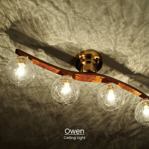 yC^[tHz V[OCg I[EF Owen | Ɩ  rOƖ V[O VƖ LED k i` ~bhZ`[ AeB[N re[W rO 