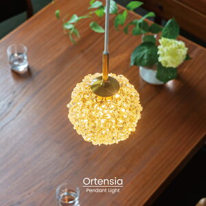 yC^[tHz y_gCg IeVA Ortensia | Ɩ VfA  y_g 1 Ɩ NX^KX LED k S[WX OWA[ _ r