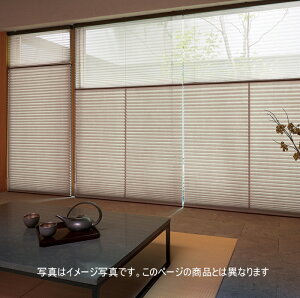 �v���[�c�X�N���[�� ���Ȃ� 25mm �j�`�x�C �D�R M5084�`M5089 �c�C���X�^�C���i�����`�F�[�����j ��43�`50.5cm×����61�`100cm�܂�