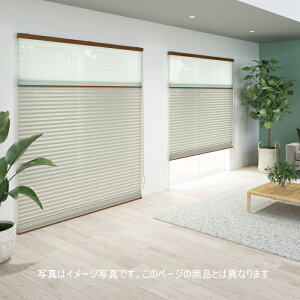 �v���[�c�X�N���[�� ���Ȃ� 25mm �j�`�x�C ���I�� M5100�`M5102 �V���O���X�^�C���i�`�F�[�����j ��31�`50.5cm×����101�`140cm�܂�