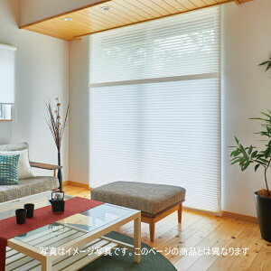 �v���[�c�X�N���[�� ���Ȃ� 25mm �j�`�x�C ���[�`�F�ՔM M5103�`M5106 �V���O���X�^�C���i�X�}�[�g�R�[�h���j ��43�`50.5cm×����30�`60cm�܂�