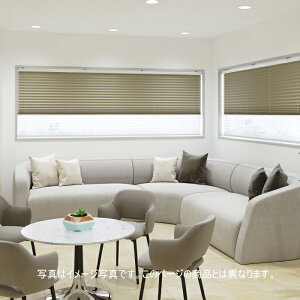 �v���[�c�X�N���[�� �Ռ� ���Ȃ� 25mm �j�`�x�C �V�X�C M5161�`M5163 �c�C���X�^�C���i�����`�F�[�����j ��43�`50.5cm×����141�`180cm�܂�