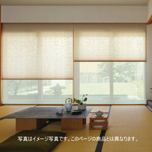 �v���[�c�X�N���[�� ���Ȃ݃O�����c �j�`�x�C �݂Ȃ� M5493�`M5501 �V���O���X�^�C���i�`�F�[�����j ��51�`80cm×����181�`220cm�܂�