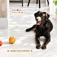 ペット カーペット ペットマット 大判 約184×242cm 犬 猫 消臭 抗ウイルス 抗菌 防カビ 耐次亜塩素酸 ク…
