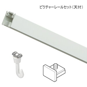 �s�N�`���[���[�� �� �s�N�`���[���[�� �C���e���A�@DIY �E�H�[���f�R���[�V���� TOSO L-1 3m�i�V��t�j ���[���Z�b�g�i�󒍐��쏤�i�j