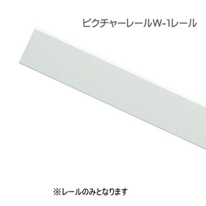 sN`[[  sN`[[ CeA@DIY EH[fR[V TOSO W-1 i [ 3miʕtpjizCgj󒍐쏤i