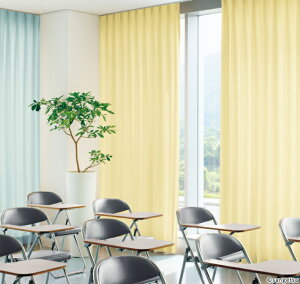 hJ[e hxt  TQc wZ {ݗp o[O WDdl 1.5{q_ PK9179`PK9189 134`200cmX81`100cm܂