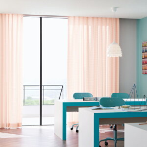 hJ[e hxt  TQc wZ {ݗp }ieB WDdl 1.5{q_ PK9196`PK9201 Ё`133cmX201`220cm܂