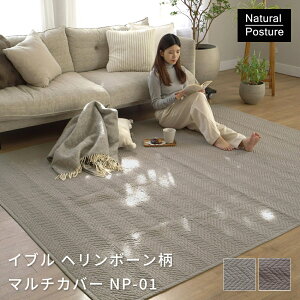 }`Jo[ ېOK ~ Rbg100 xbhJo[ \t@[Jo[ ` Natural Posture Cu w{[ NP-01 95X150cm