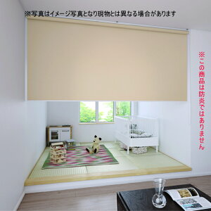 ���[���X�N���[�� �u���P�b�g�~�߃^�C�v ����@�H �t�@�[�X�e�[�W�i��h���j �R�R���� TR1001�`1030 ���i��136�`180cmX����201�`250cm�܂�