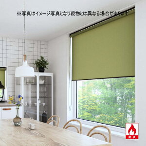 ���[���X�N���[�� �u���P�b�g�~�߃^�C�v ����@�H �t�@�[�X�e�[�W�i�h���j �m�[�e TR1121�`1128 �Ռ�2�� ���i��61�`90cmX����201�`250cm�܂�