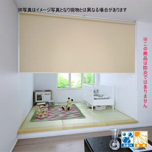 ���[���X�N���[�� �u���P�b�g�~�߃^�C�v ����@�H �t�@�[�X�e�[�W�i��h���j �R�R�����ՔM TR1531�`1540 �E�H�b�V���u�� ���i��136�`180cmX����201�`250cm�܂�