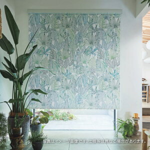 タチカワブラインド ロールスクリーン ロールカーテン ラルク 防炎 ウォッシャブル ヴィラ RS1007 幅80.5〜120cmX丈81〜120cmまで(シールドなし)