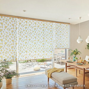 タチカワブラインド ロールスクリーン ロールカーテン ラルク 防炎 ウォッシャブル ミノレ RS1020 幅120.5〜160cmX丈50〜80cmまで(シールドなし)