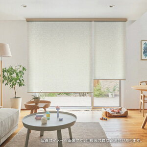 タチカワブラインド ロールスクリーン ロールカーテン ラルク 防炎 水拭き可 テクスチャ RS1034〜1035 幅120.5〜160cmX丈50〜80cmまで(シールドなし)