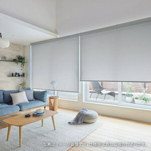 タチカワブラインド ロールスクリーン ロールカーテン ラルク 防炎 ウォッシャブル ミスト RS1101〜1124 幅120.5〜160cmX丈81〜120cmまで(シールドなし)