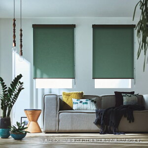 �^�`�J���u���C���h ���[���X�N���[�� ���[���J�[�e�� �����N �h�� �E�H�b�V���u�� ���C�t RS1151�`1174 ��250.5�`270cmX��201�`250cm�܂Łi�V�[���h�Ȃ��j