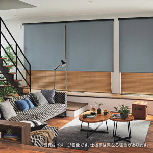 タチカワブラインド ロールスクリーン ロールカーテン ラルク 防炎 ウォッシャブル フルダル RS1251〜1253 幅120.5〜160cmX丈81〜120cmまで(シールドなし)