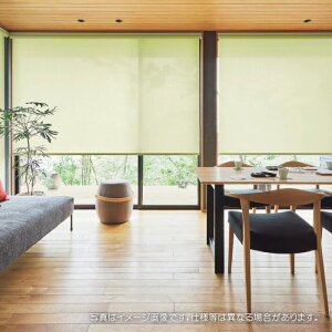 タチカワブラインド ロールスクリーン ロールカーテン ラルク 防炎 ウォッシャブル エコノクターン遮熱 RS1285〜1290 幅80.5〜120cmX丈50〜80cmまで(シールドなし)