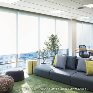 ^`JuCh [XN[ [J[e N h ՔM fCYՔM RS1291`1293 250.5`270cmX121`160cm܂ŁiV[hȂj