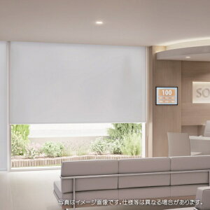 タチカワブラインド ロールスクリーン ロールカーテン ラルク 防炎 抗ウイルス 抗菌 ライフ抗ウイルス RS1310〜1312 幅25〜49cmX丈161〜200cmまで(シールドなし)
