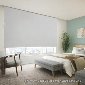 タチカワブラインド ロールスクリーン ロールカーテン ラルク 防炎 遮光1級 グラント遮光 RS1507〜1510 幅250.5〜270cmX丈161〜200cmまで(シールドなし)