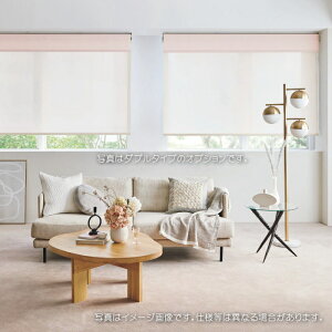 ���[���X�N���[�� �^�`�J�� ���[���J�[�e�� �����N �h�� �E�H�b�V���u�� UV�J�b�g ���i�C�ՔM RS1604�`1606 ��25�`49cmX��50�`80cm�܂Łi�V�[���h�Ȃ��j