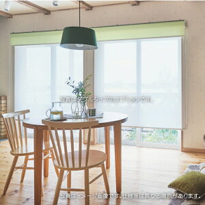 タチカワブラインド ロールスクリーン ロールカーテン ラルク 防炎 抗アレル シフォン抗アレル RS1619〜1620 幅49.5〜80cmX丈251〜300cmまで(シールドなし)