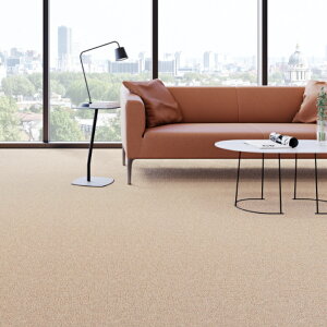 �J�[�y�b�g �T���Q�c �h�� ���d �h�_�j �R�� �T���r�[�g ���O�T�C�Y 200cmX300cm�����Ԏw��s���i