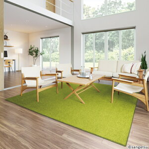 �J�[�y�b�g �T���Q�c �h�� ���d �h�_�j �R�� �T���V�����I2 ���O�T�C�Y 200cmX300cm�����Ԏw��s���i