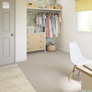 �J�[�y�b�g �T���Q�c �h�� ���d �h�_�j �R�� �h�� BCF�i�C����100���T�����C��2 ���O�T�C�Y 200cmX300cm�����Ԏw��s���i