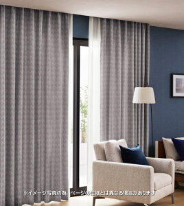 �h�� ������ �J�[�e�� �T���Q�c �a�@ ��� ����Ҏ{�ݗp �A�}���t�B �W���D���d�l 1.5�{�q�_ PK4244�`PK4246 ��201�`300cmX��121�`140cm�܂�