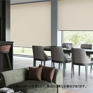 ���[���X�N���[�� �I�[�_�[ �j�`�x�C �\�t�B �h�� �G���f N8025�`N8044 ��80.5�`120cmX����10�`49cm