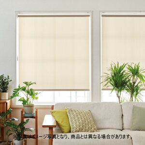 ���[���X�N���[�� �I�[�_�[ �j�`�x�C �\�t�B �h�� �v�����c N8065�`N8067 ��30.5�`50cmX����50�`80cm