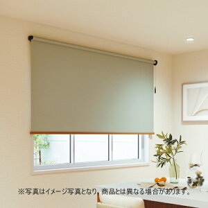 ���[���X�N���[�� �I�[�_�[ �j�`�x�C �\�t�B �h�� ���I�� N8113�`N8115 ��20�`30cmX����50�`80cm