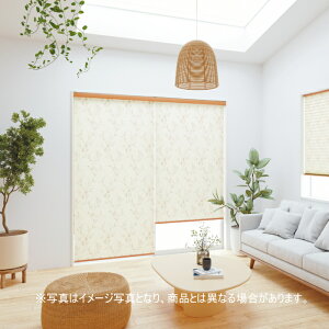 ���[���X�N���[�� �I�[�_�[ �j�`�x�C �\�t�B �h�� �J�m�� N8161�EN8162 ��50.5�`80cmX����50�`80cm