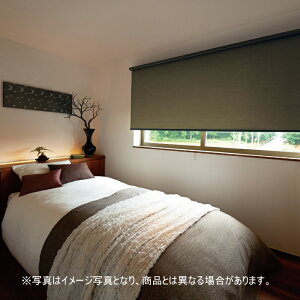 ���[���X�N���[�� �I�[�_�[ �j�`�x�C �\�t�B �h�� �Ռ�1�� �g�o�� N8209�`N8211 ��80.5�`120cmX����201�`250cm