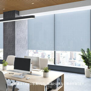 ���[���X�N���[�� �I�[�_�[ �j�`�x�C �\�t�B �h�� ���D��~�f�B�A�� N8316�`N8319 ��50.5�`80cmX����50�`80cm