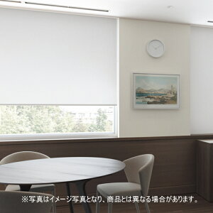 ���[���X�N���[�� �I�[�_�[ �j�`�x�C �\�t�B �h�� �R�E�C���X���H ���ۉ��H �v�����ՔM�i�E�H�b�V���u���j N8497�`N8499 ��50.5�`80cmX����50�`80cm