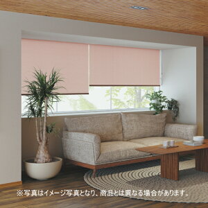 ���[���X�N���[�� �I�[�_�[ �j�`�x�C �\�t�B �h�� ���K���G�i�E�H�b�V���u���j N8530�`N8532 ��50.5�`80cmX����121�`160cm