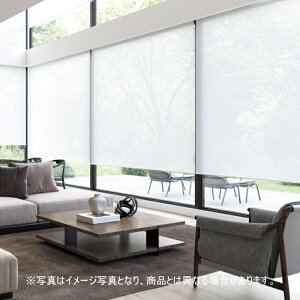 ���[���X�N���[�� �I�[�_�[ �j�`�x�C �\�t�B �h�� �������i�E�H�b�V���u���j N8675�EN8676 ��80.5�`120cmX����81�`120cm