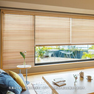 EbhuCh ؐ ^`J tHeBA [v 50(_[R[hdl) ؃Xbg YށiXMj FT-6203`6204 120.5`140cmX181`200cm