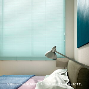 �u���C���h �g�[�\�[ TOSO �����|�[���� �x�l�A��15 ��28�`60cm×����111�`130cm�܂�
