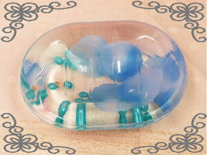 t[r[YANA\[vMyKNG݁@[YG݂𒆐SɃu[ȁ@oЉzyRRzyd@tFA[@dG݁@tFA[G݁zyVg@GWF@VgG