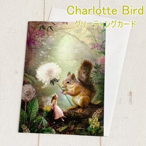 Charlotte Bird@tFA[@O[eBOJ[hitjlV[bgo[h d tFA[ Vg GWF o [Y KN G J[h NX}X bZ[WJ[h