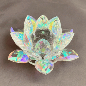 yzNX^[^X C{[ LTCY[^X NX^ ^ J^ CeA KX u IuWF Mtg v[g